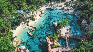 aerial view of Discovery Cove pool with palm trees in Orlando, Florida, USA