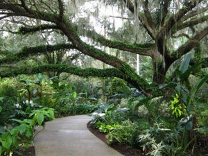 Fun Things to Do in Orlando For Adults ﻿ ﻿- 13 Totally Free & Fun Activities