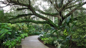 Fun Things to Do in Orlando For Adults ﻿ ﻿- 13 Totally Free & Fun Activities