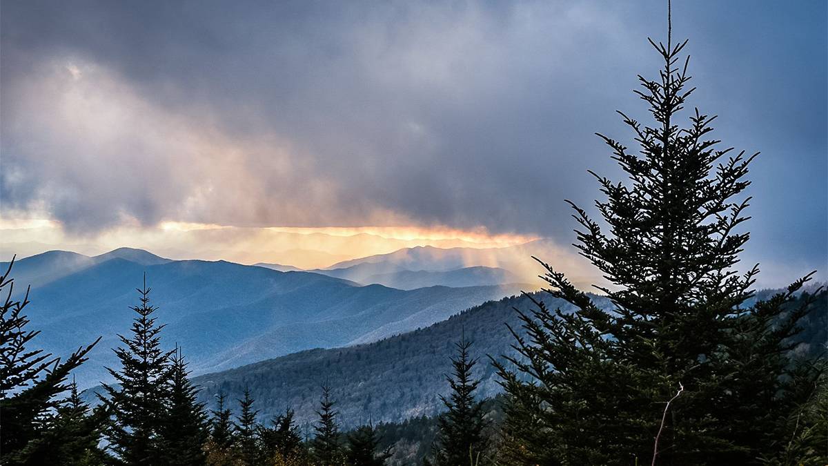 Forest and Mountains at Clingman’s Dome in The Great Smoky Mountains - Pigeon Forge, Tennessee, USA