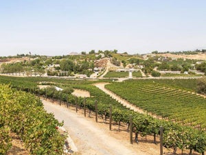 Wineries in Southern California ﻿- 7 Spectacular Options to Try