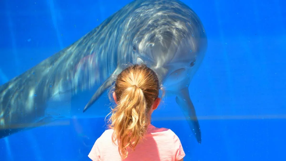 Child up close to a Dolphin in its tank at Birch Aquarium at Scripps - San Diego, California, USA