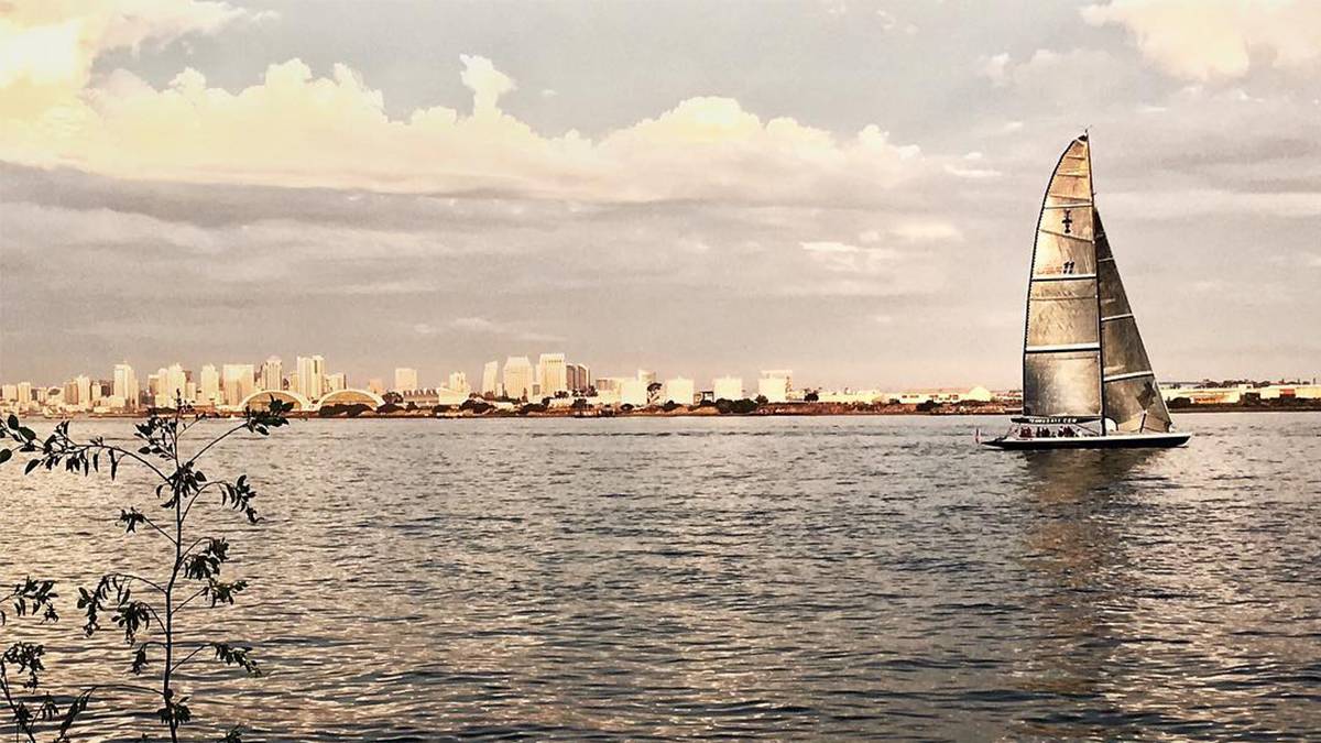 Sailboat in Ocean with San Diego Skyline in Background - San Diego, California, USA