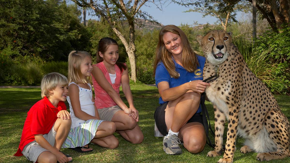 Children and handler crouched on the grass next to a cheetah at The San Diego Zoo - San Diego, California, USA