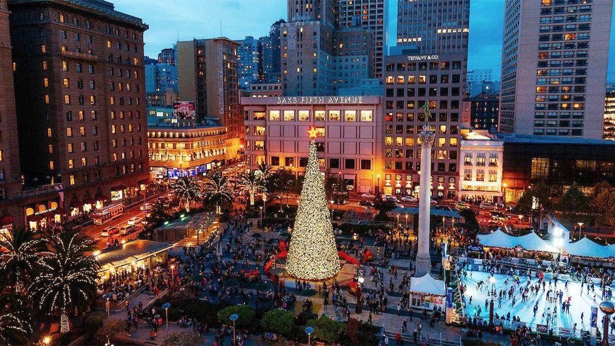 Christmas Tree Lighting San Francisco InDepth Guide