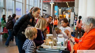 Family participating at an Interactive Exhibit at California Academy of Sciences - San Francisco, California, USA