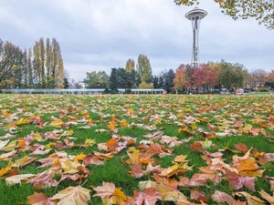 What are the Top Things to Do in Seattle When It Rains?