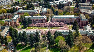 Aerial view of cherry blossoms in full bloom with pink blossoms at The Quad at University of Washington in Seattle, Washington, USA