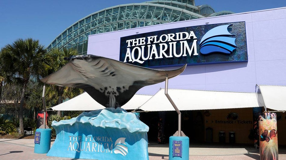 The Florida Aquarium Exterior and a manta ray statue in Orlando, Florida