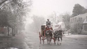 Man driving horse drawn carriage in Williamsburg, Virginia, USA in the snow