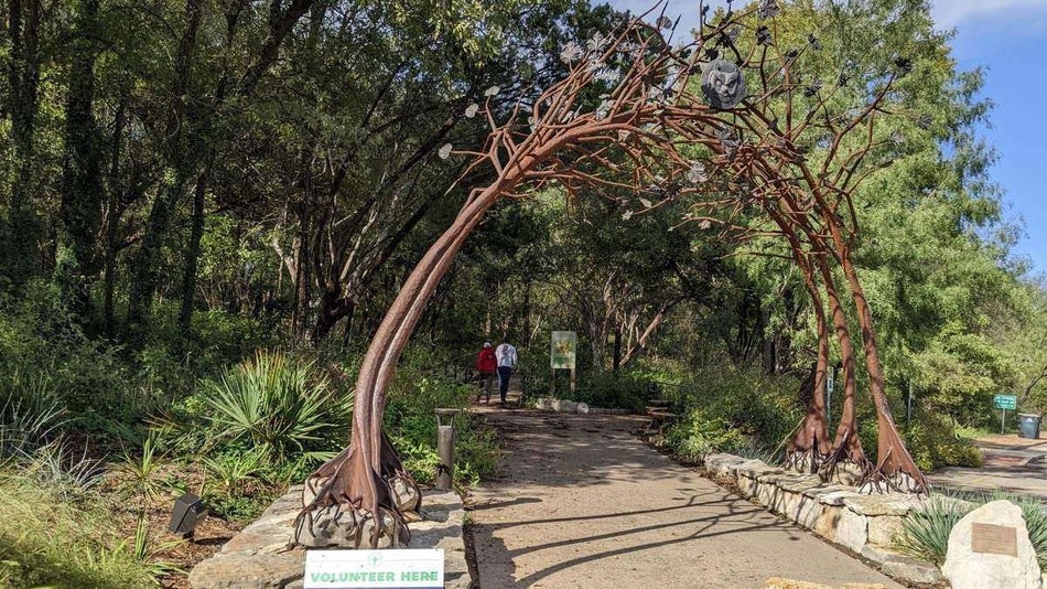 Metal tree arbor over a walking path surrounded by woods at the Austin Nature & Science Center