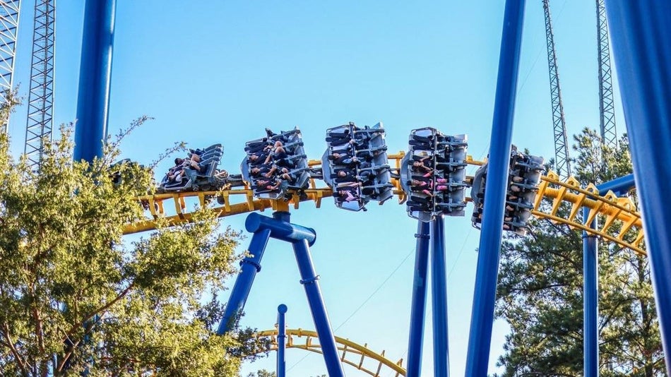 Blue and yellow roller coaster with riders riding under a blue sky with trees surrounding the tracks