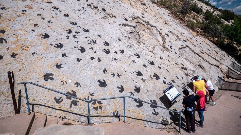 People standing next to a large sloping rock face with dinosaur prints all over it