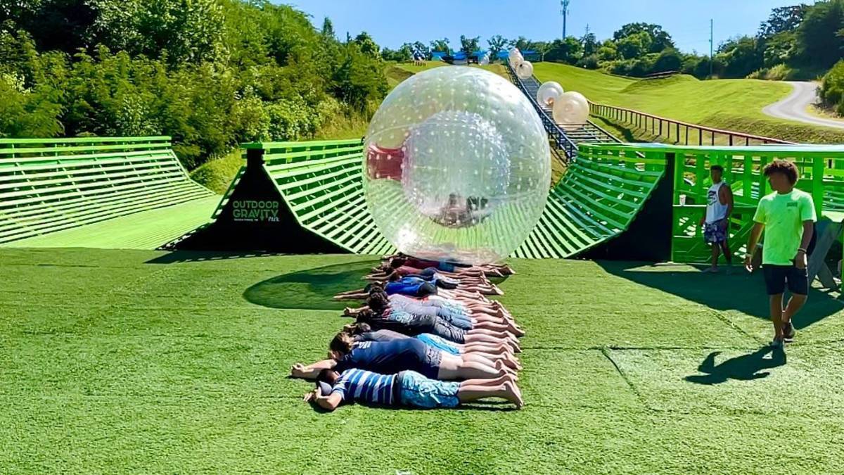 People laying in the grass lined up in a row while zorb balls come down a hill toward them