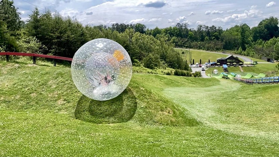 Zorb ball rolling down a grassy hill with trees in the background under a blue sky