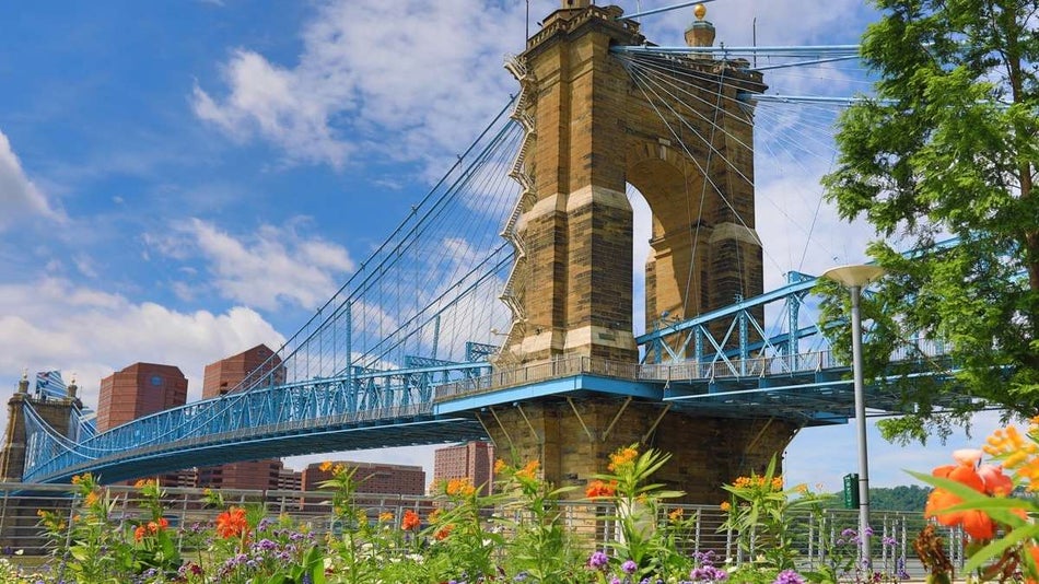 Large Brick bridge with blue iron details with wildflower in the foreground under a blue sky
