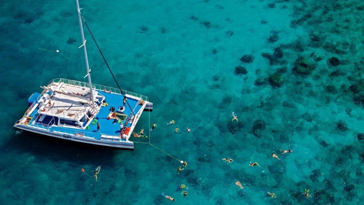 Aerial view of a Catamaran with snorkelers swimming over reefs and clear water