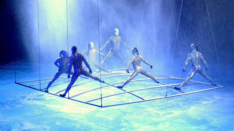 six dancers in zebra print body suits standing on a raised metal grid above a pool of water