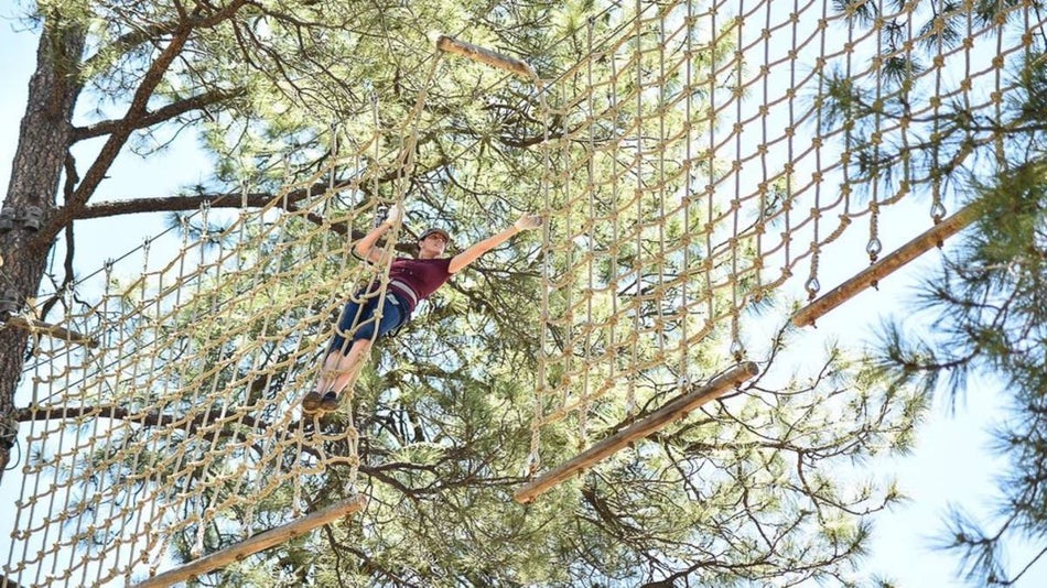 Person climbing a treetop ropes course