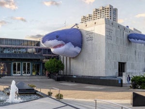 Houston Museum of Natural Science Discount - 2023 Ultimate Guide
