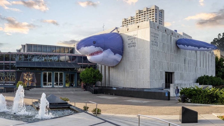 Shark inflatable attached to the exterior of the Houston Museum of Natural Science