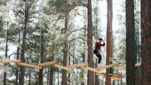 Person holding onto a rope while traversing a treetop walkway