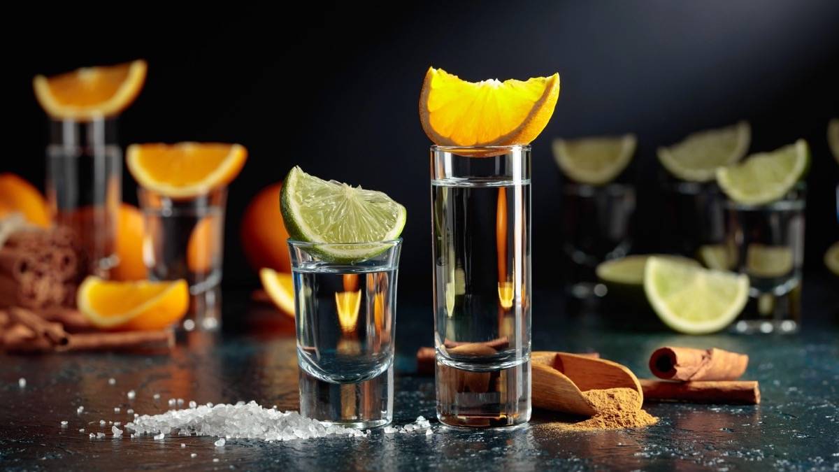 Tequila glasses with limes, oranges, salt, and cinnamon