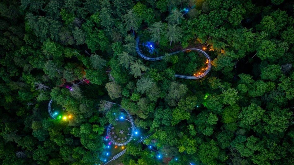 Aerial shot of dense trees with a coaster running through it and a few lights showing through from the forest floor
