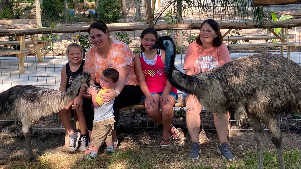 Family sitting on a bench while emus interact with them closely