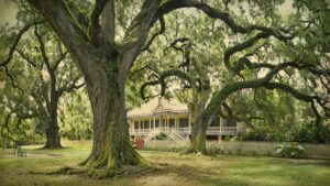 exterior of yellow and blue painted plantation house with a brick sidewalk and a huge oak trees