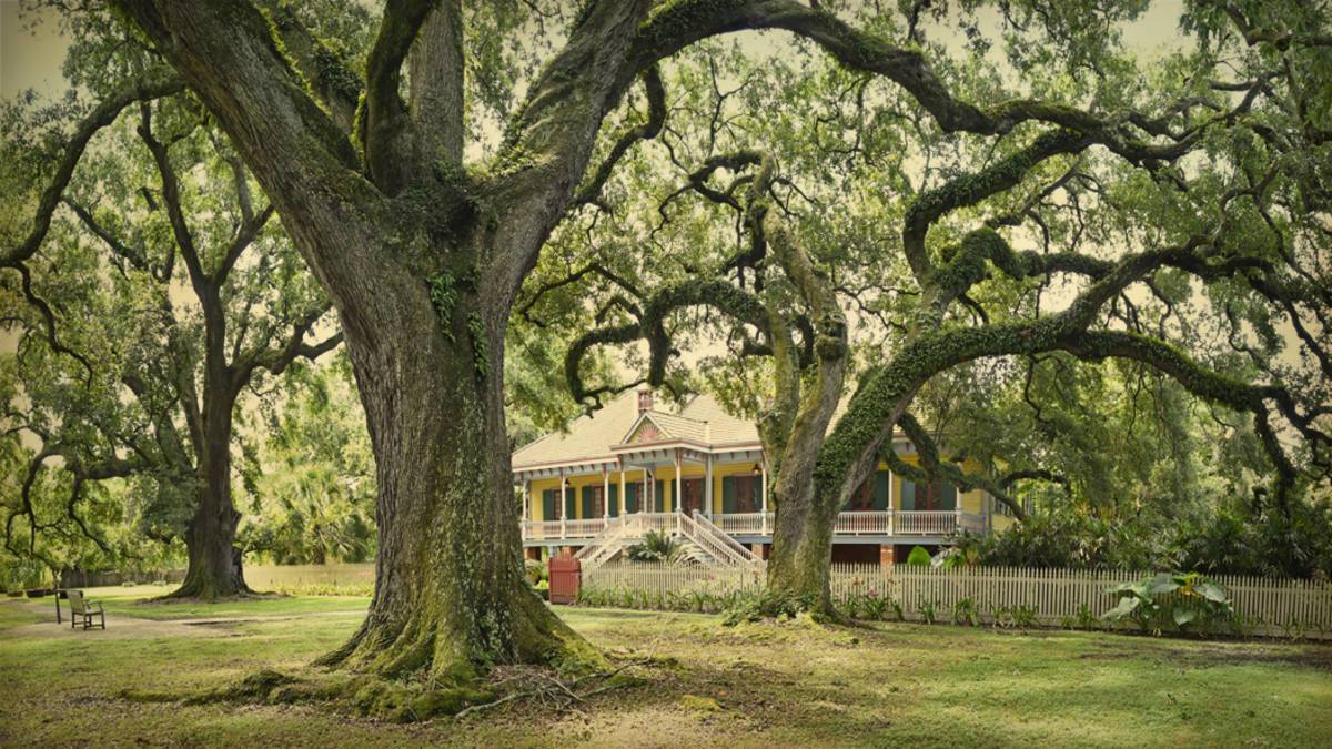 exterior of yellow and blue painted plantation house with a brick sidewalk and a huge oak trees