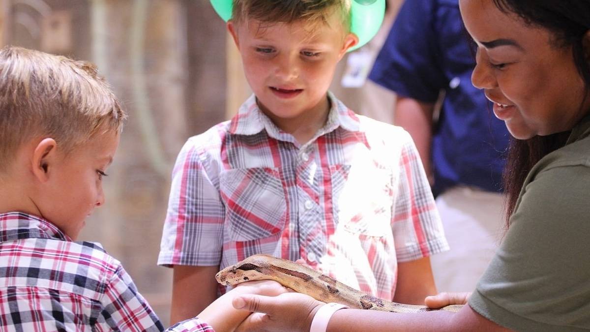 Woman holds a snake while two boys in flannel shirts look and touch the snake