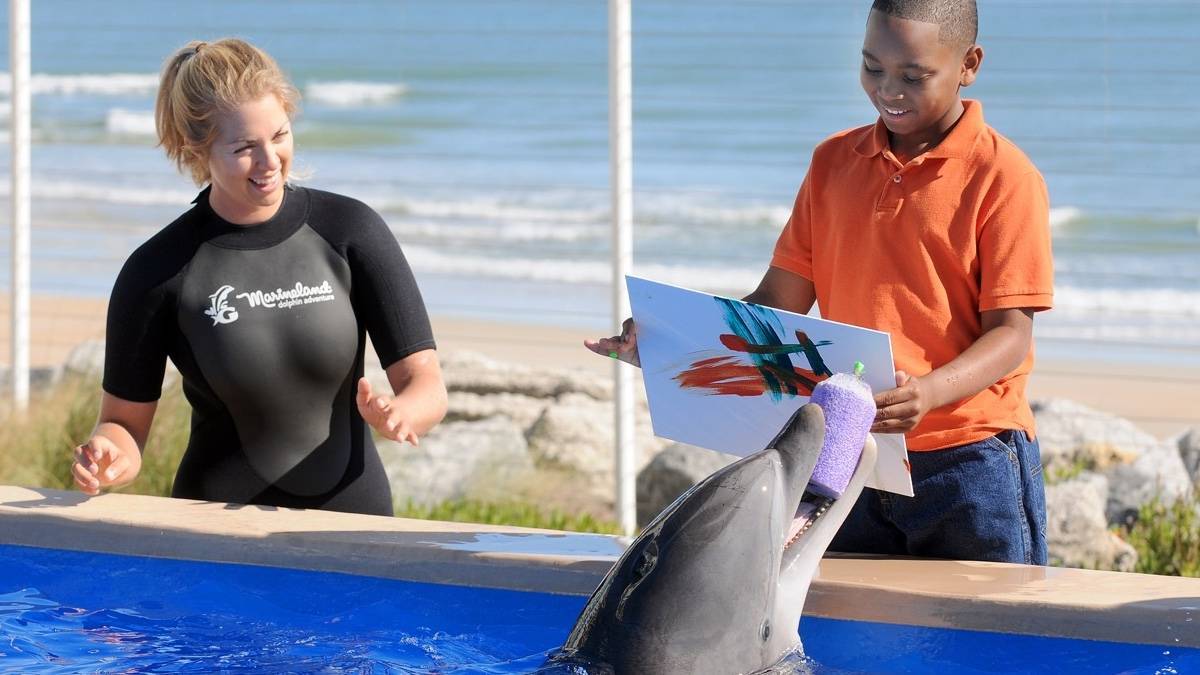 Dolphin holding a purple large paint sponge while a boy holds a piece of paper and a trainer stands nearby