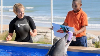 St. Augustine: Marineland Dolphin Meet & Greet