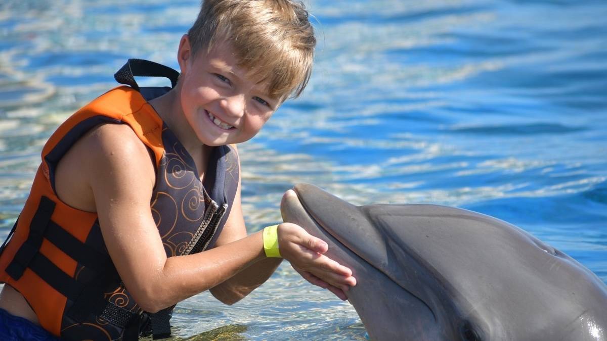 Boy with an orange life jacket on holding his hands out with a dolphin resting it's face in his hands while in a pool