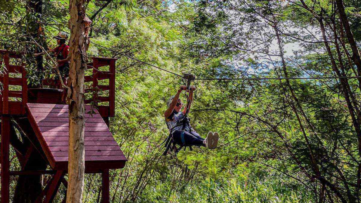 Woman in a zipline harness gliding through a forest