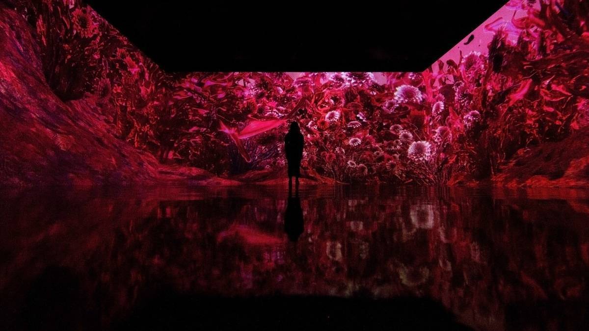 Huge walls of red digitized art with a single person standing in the foreground looking at it