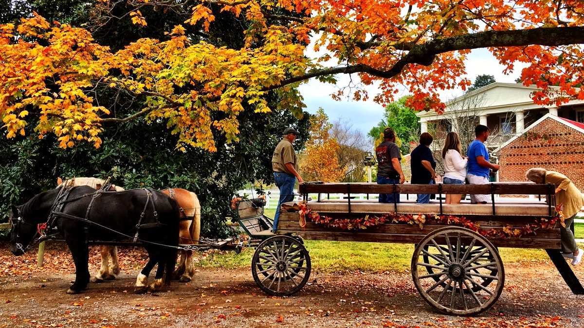 Two horses hitched up to a flat wagon with a family standing on it looking at the front of the house surrounded by fall foliage
