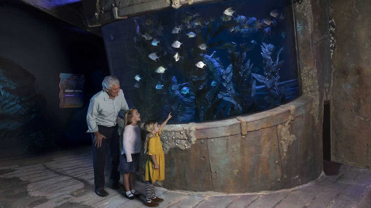 Older man with two young girls looking at a round fish tank