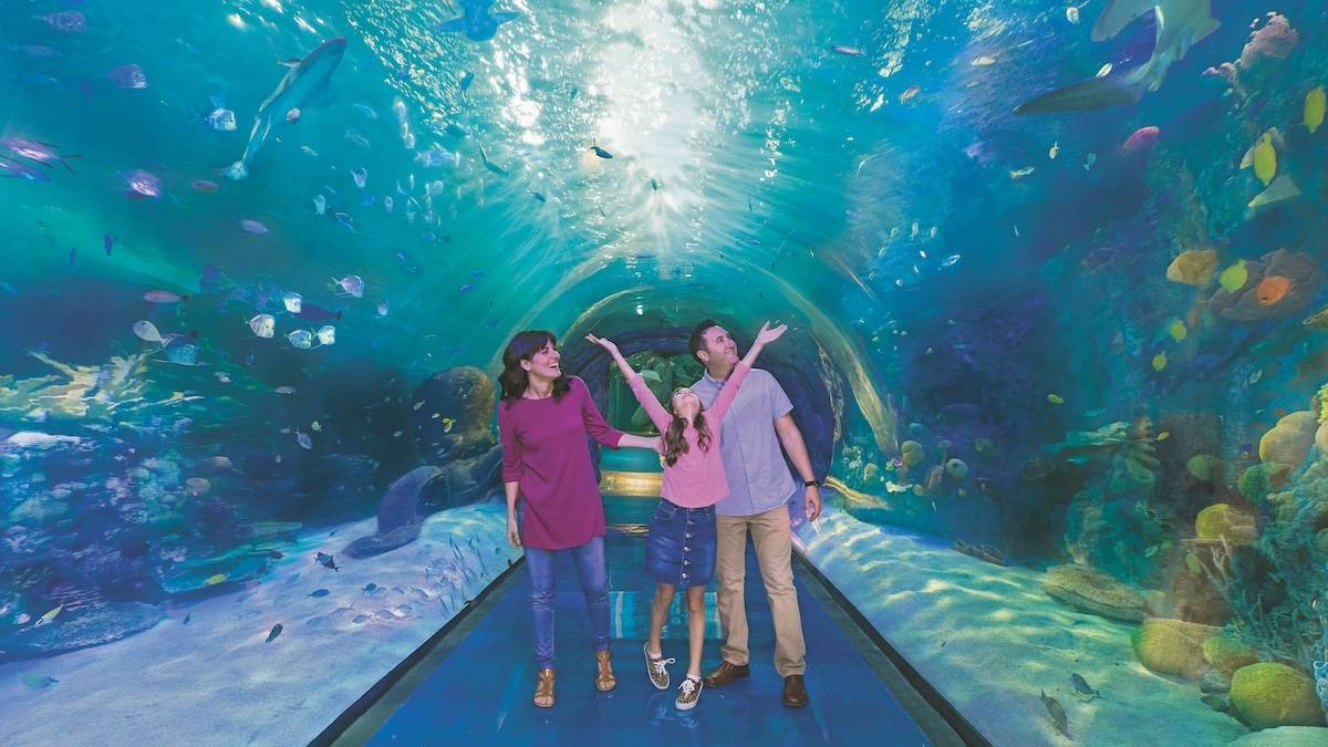 Family of three inside a walkable underwater tunnel looking at a wide variety of fish