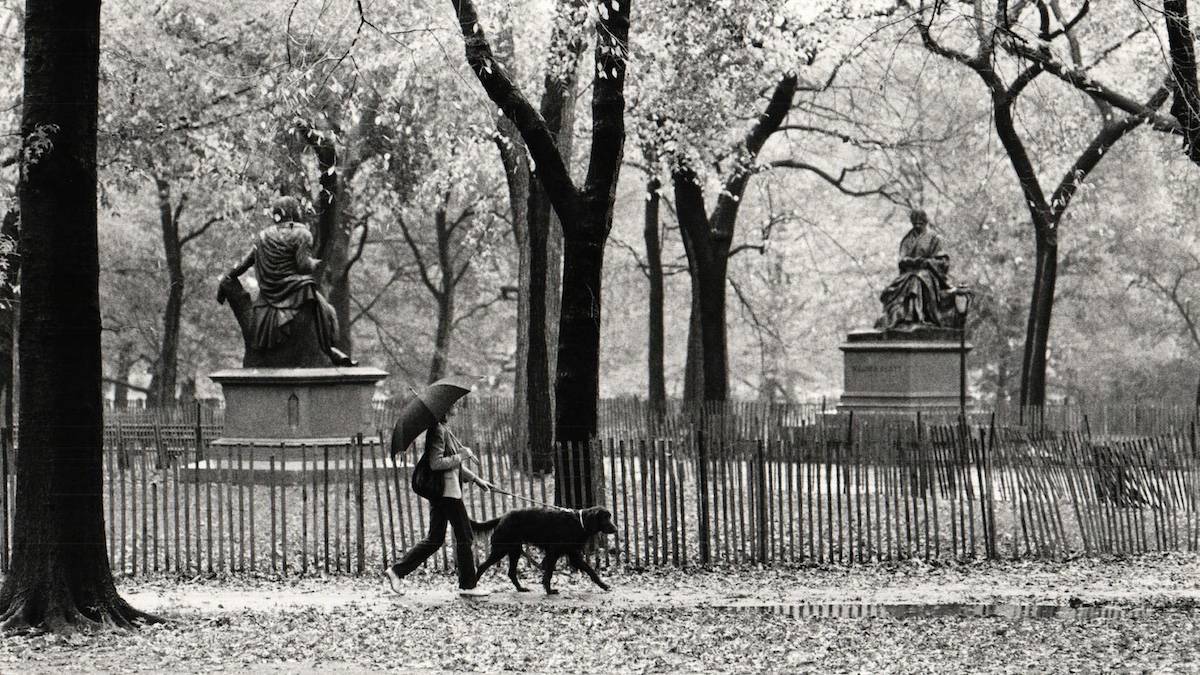 Black and white photo of a person walking their dog holding an umbrella along the literally walk with statues and trees in the background