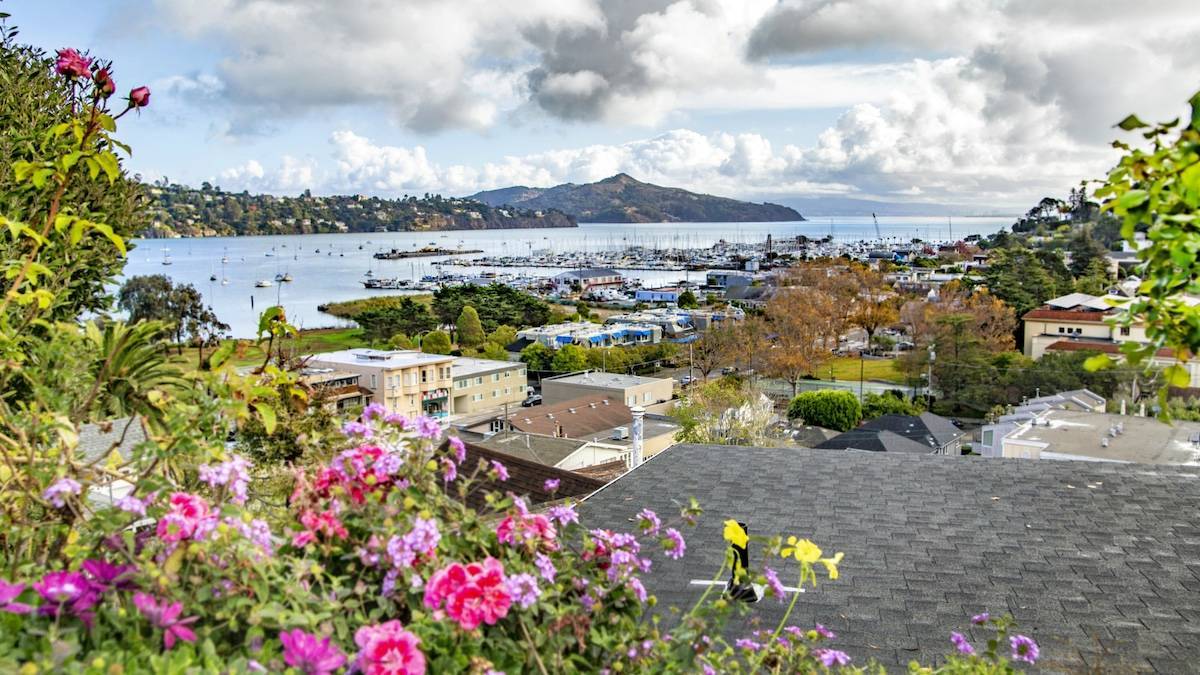 Wide shot of a bay with boats bloating with flowers and greenery in the foreground under a cloudy blue sky