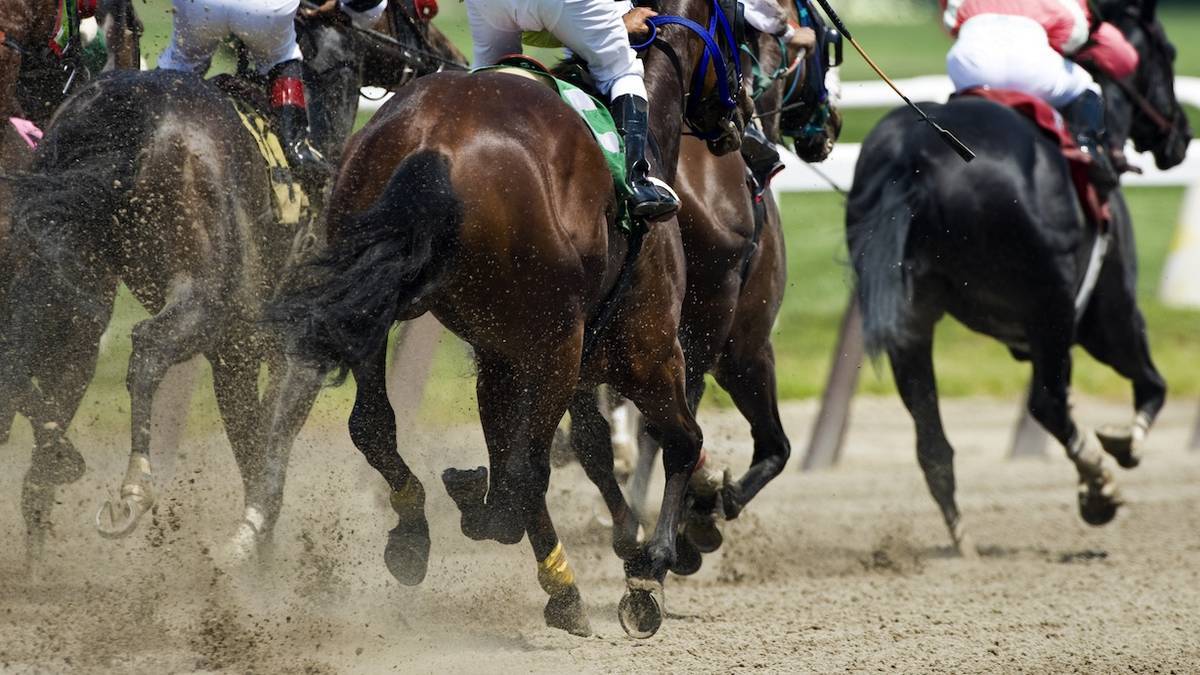 Several horses running on a dirt track with jockeys on their backs racing