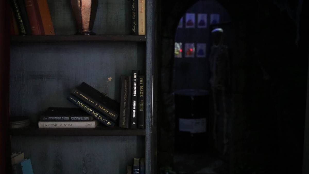 Dimly lit room with a skeleton in the corner and a bookshelf with a few books on it