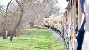 A train moving under winter bare trees