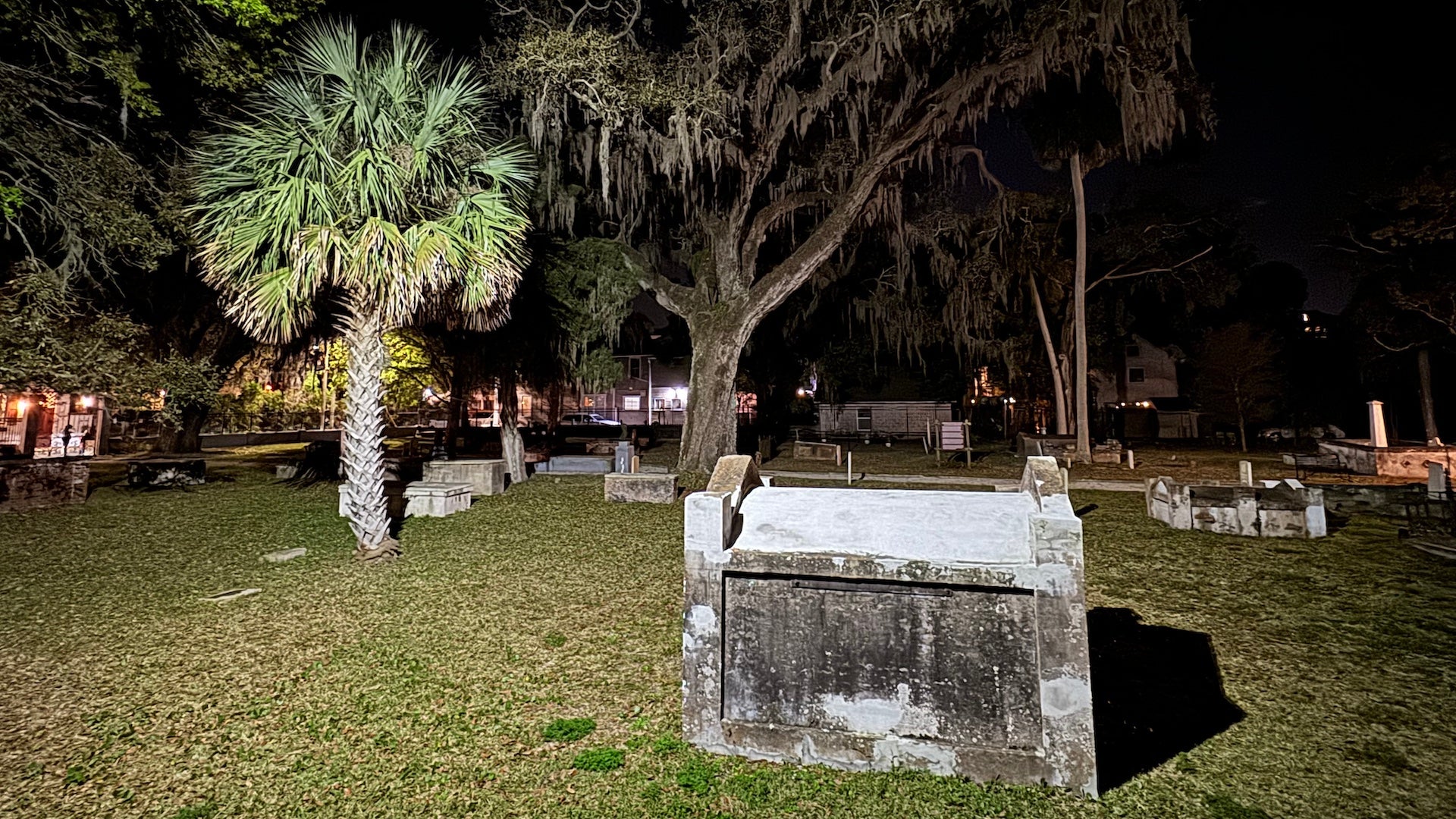 Cemetery at night with a palm tree and a large oak
