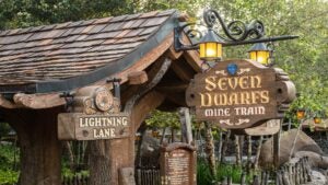 entrance of Seven Dwarfs Mine Train - Disney World