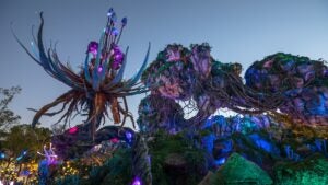 Colorful mountain and plants under a dusky sky at Pandora