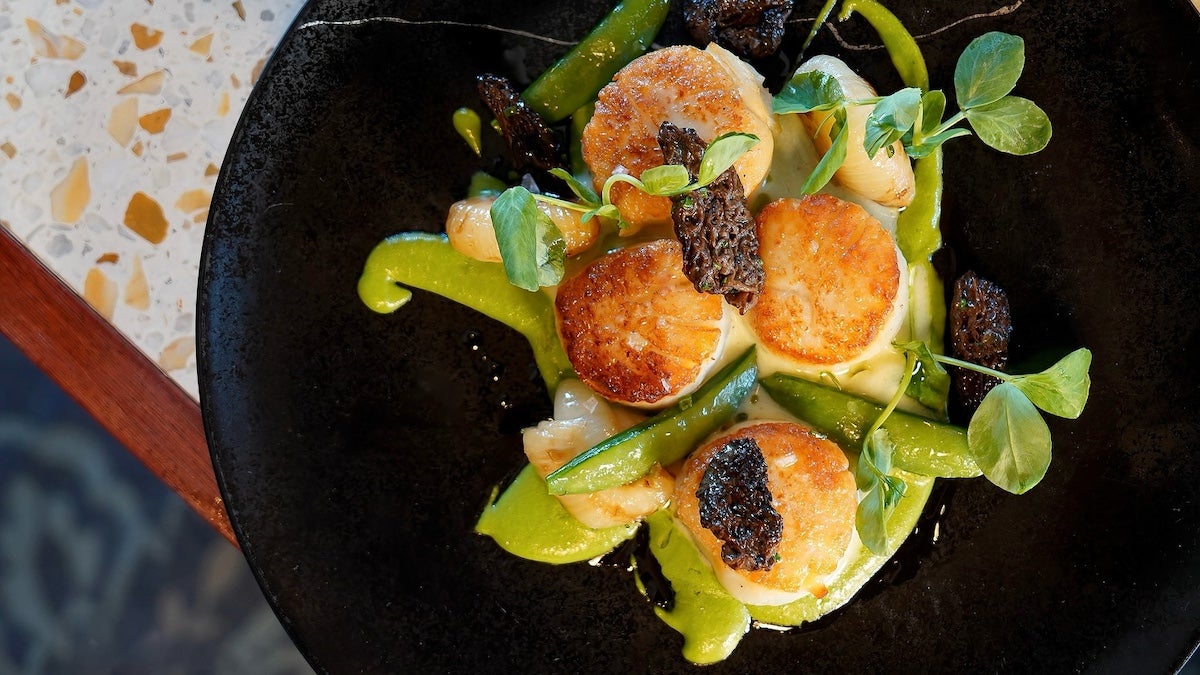 Scallops on a black plate with greens