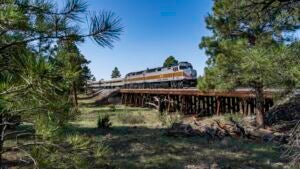 Exterior view of a train on raised tracks going through pine trees under a blue sky